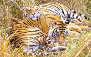 keibul-national-park