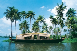 kerala-backwaters-greenery-small