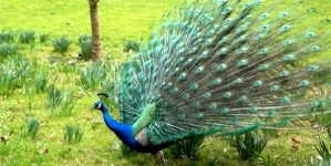 Arunachal Pradesh Tourist Places