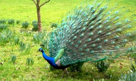 Arunachal Pradesh Tourist Places